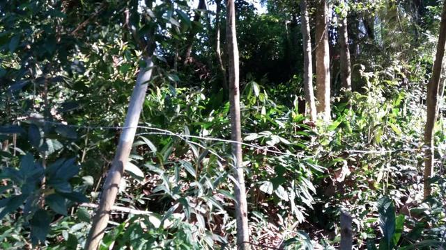 Terreno 1600M - Embu Guaçu - Foto 2