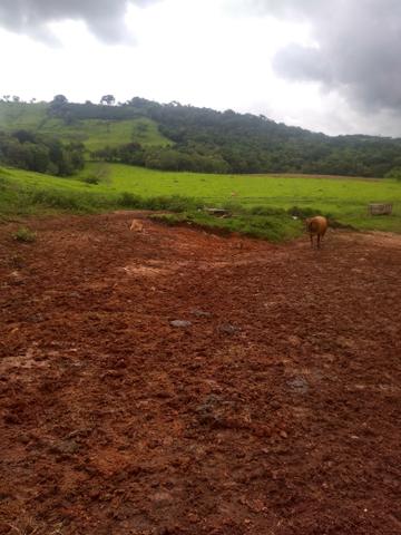 Fazendinha com 38 mil metros quadrados casinha antiga reformada - Foto 2