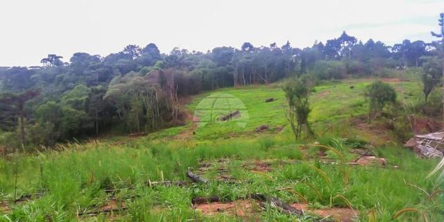 Chácara à venda em Ferraria, Campo largo cod:149101