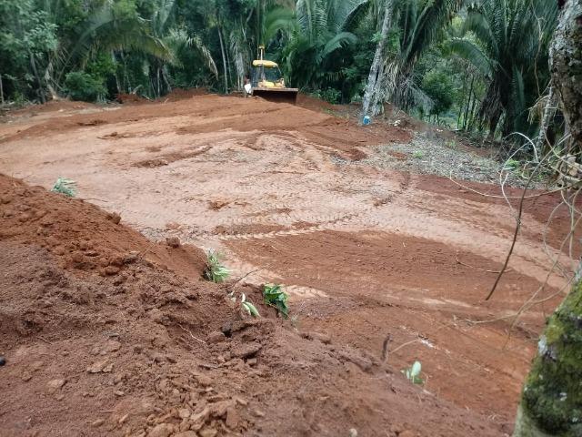 Chácara em peixe verde