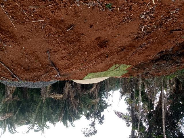 Chácara em peixe verde - Foto 11