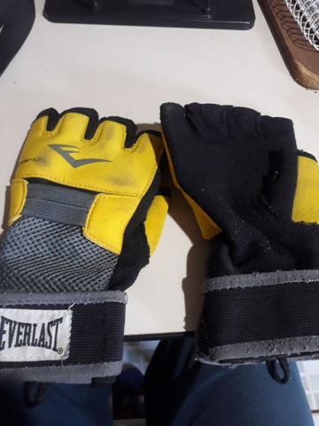 luva mma everlast