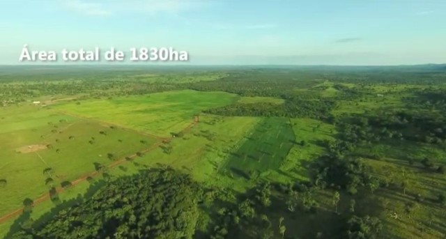 Fazenda em Divinopolis. - Foto 2