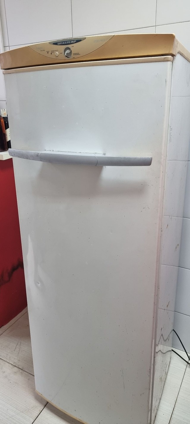 Freezer vertical frost free +303 anúncios na OLX Brasil