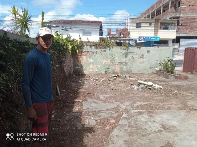 Poda de árvores ? limpeza de coqueiros * - Foto 4