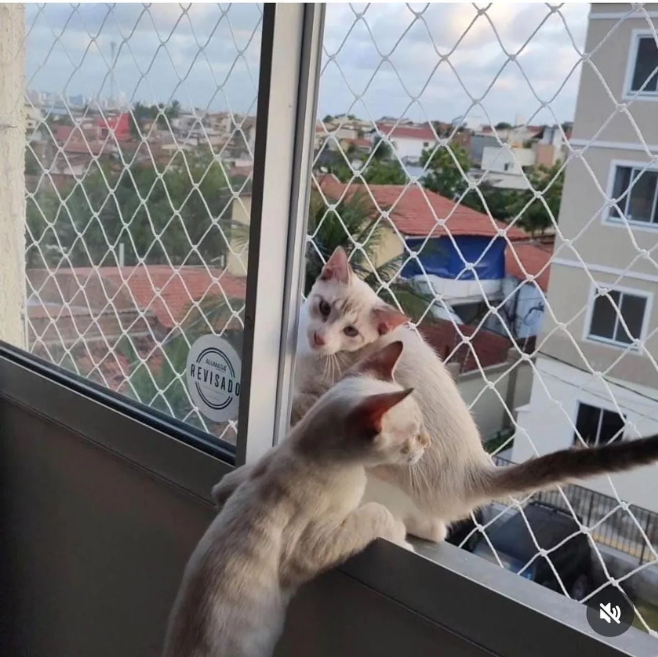 REDES DE PROTEÇÃO.