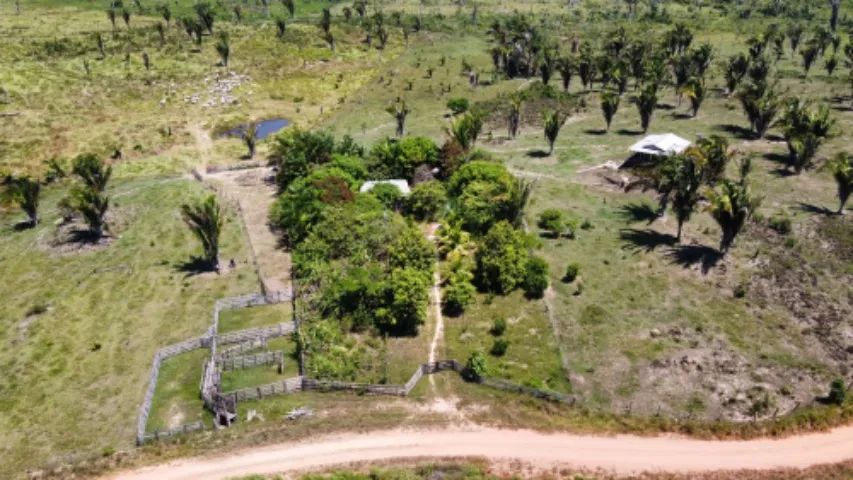 Vendo dois lotes no sul de Roraima.  - Foto 2