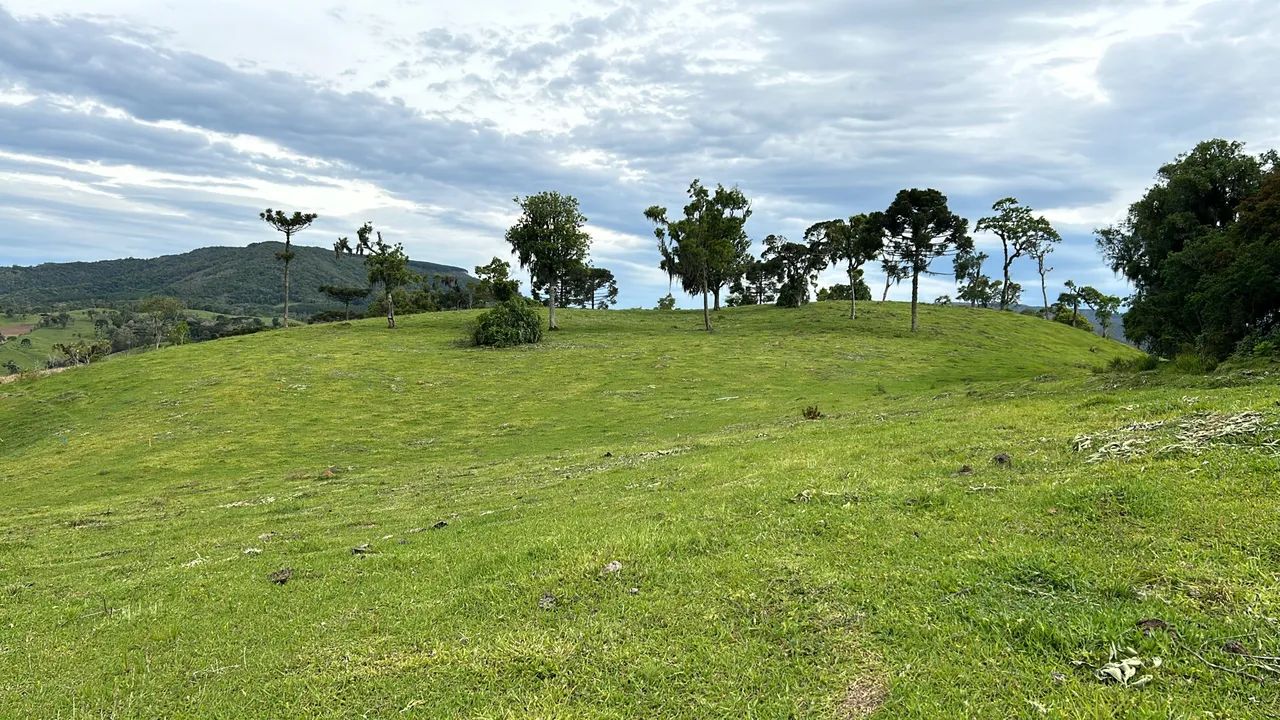 Chácaras na Serra Catarinense - Rancho Queimado - Foto 5