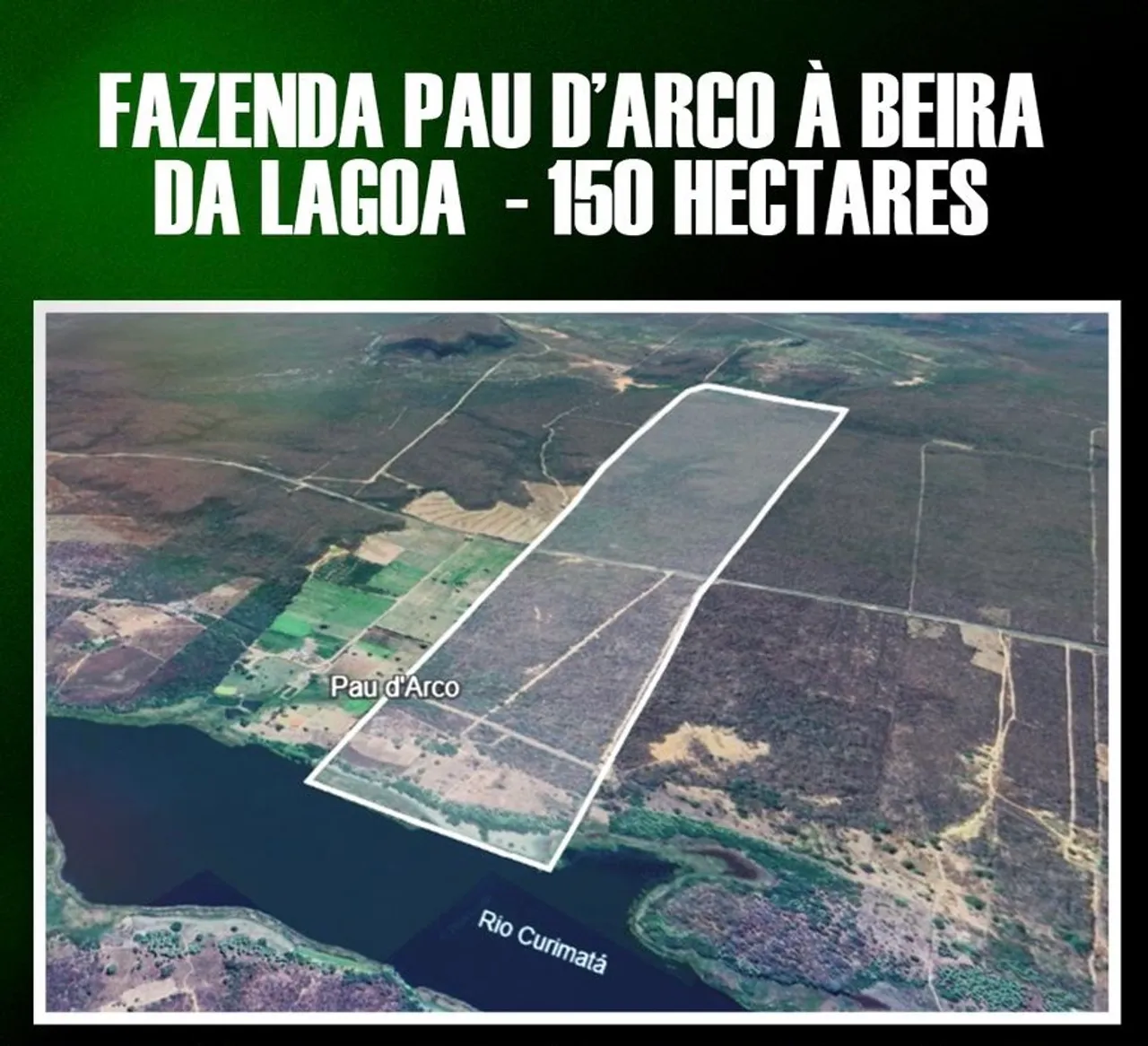 Fazenda com 150 hectares, lagoa que não seca e poço artesiano de alta vazão | Curimatá-PI