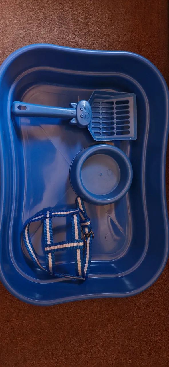 Kit para gato 