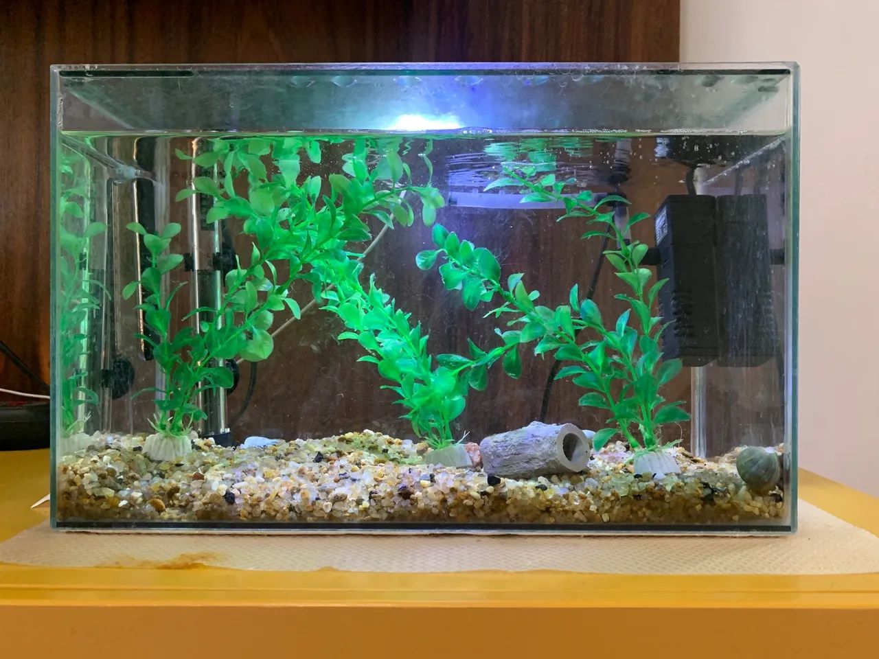 AQUÁRIO PARA PEIXES DE 20L + EXTRAS