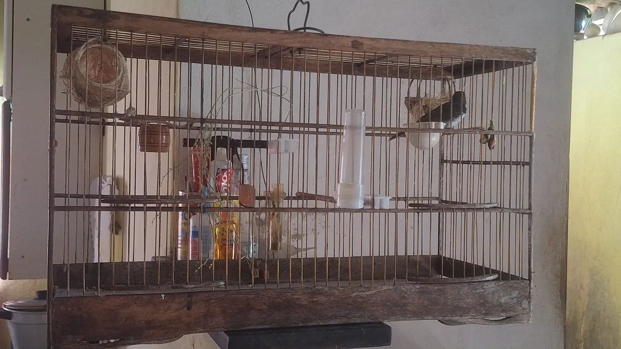 Vendo completo  - Foto 2