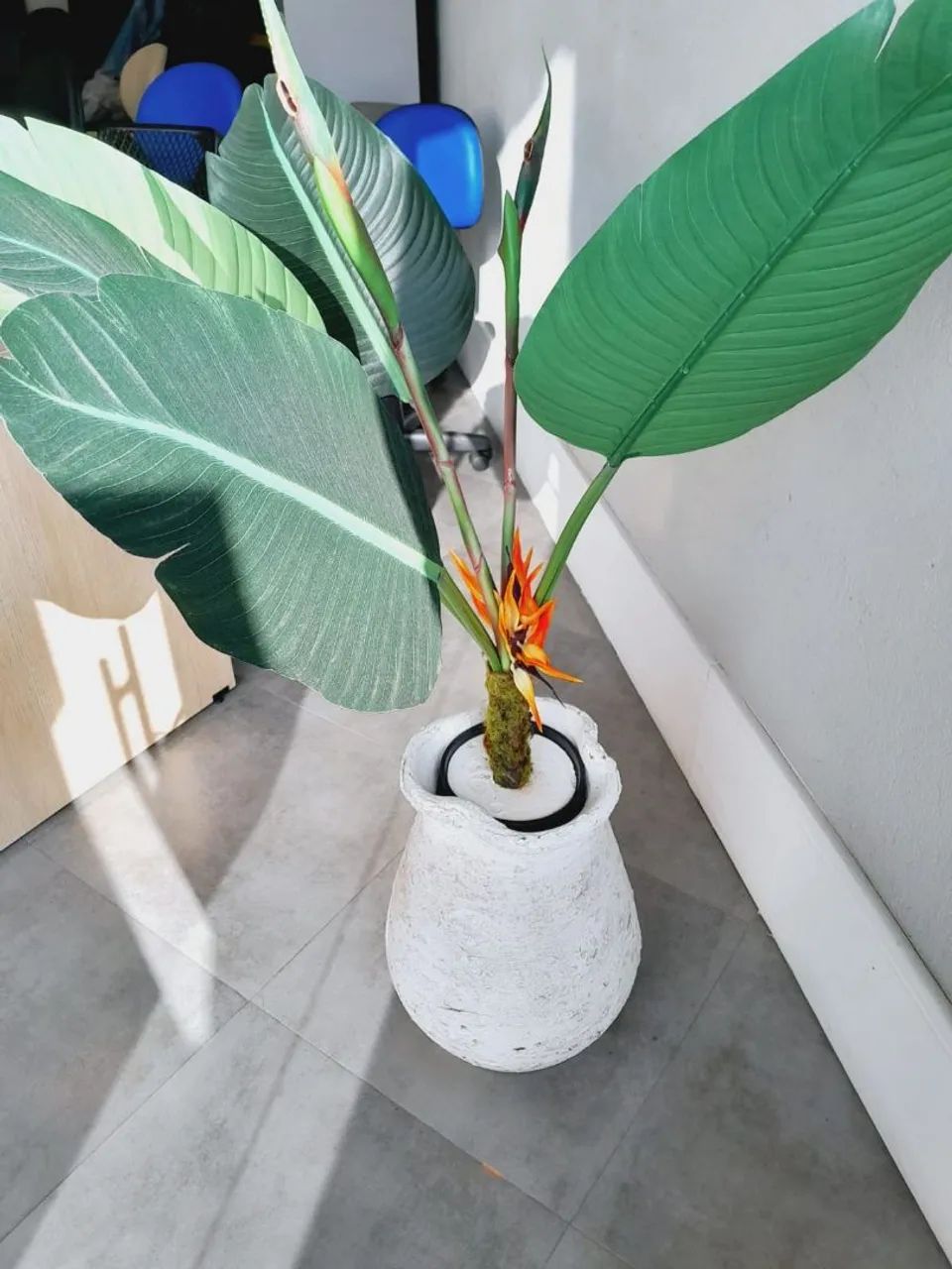 Árvore Planta Strelitza Artificial  - Foto 5