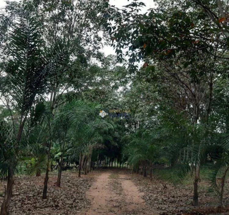 Sítio à venda - Macaubal/SP