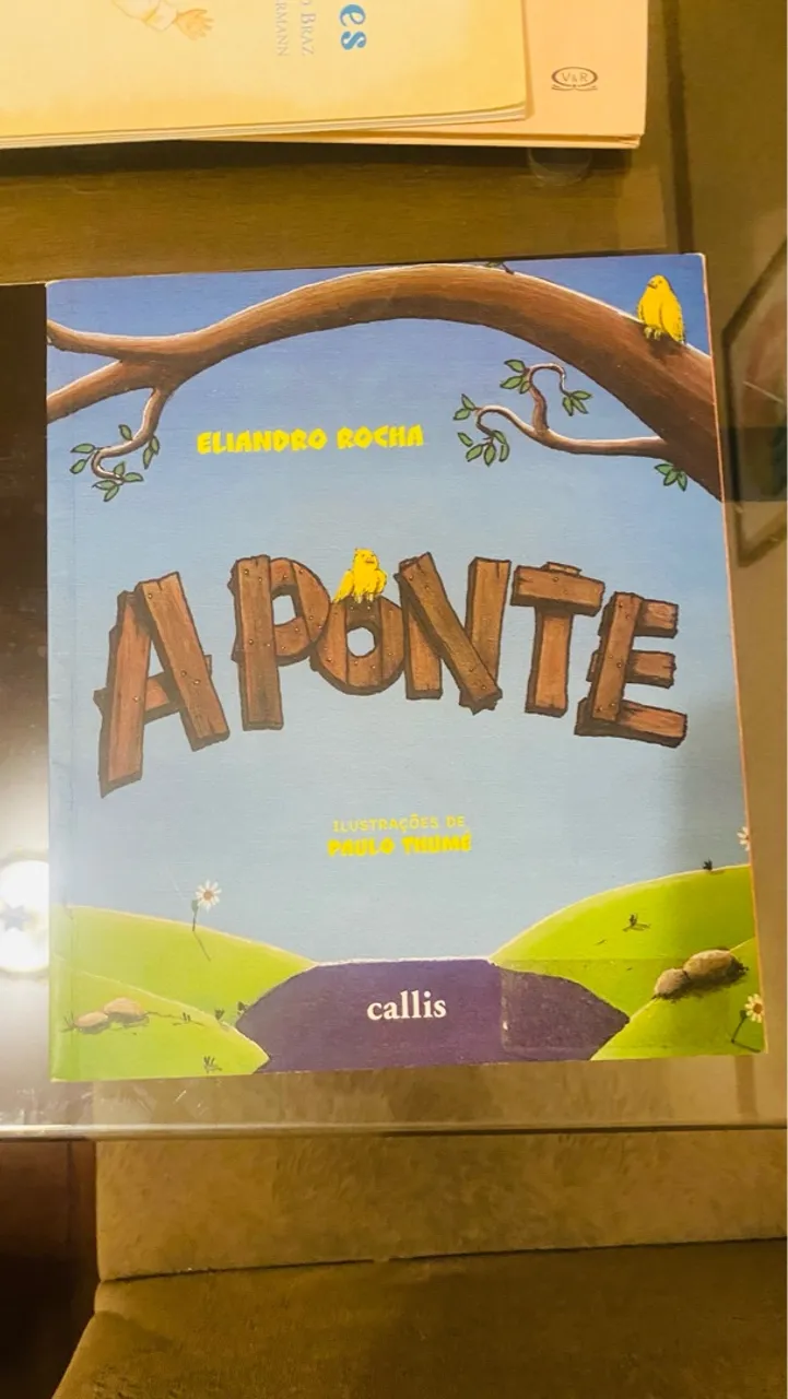 Livro Infantil 'A Ponte' - Eliandro Rocha