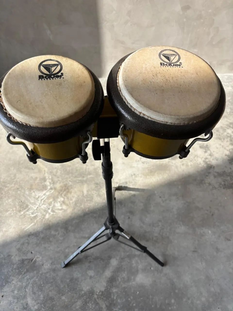 Bongo Bauer