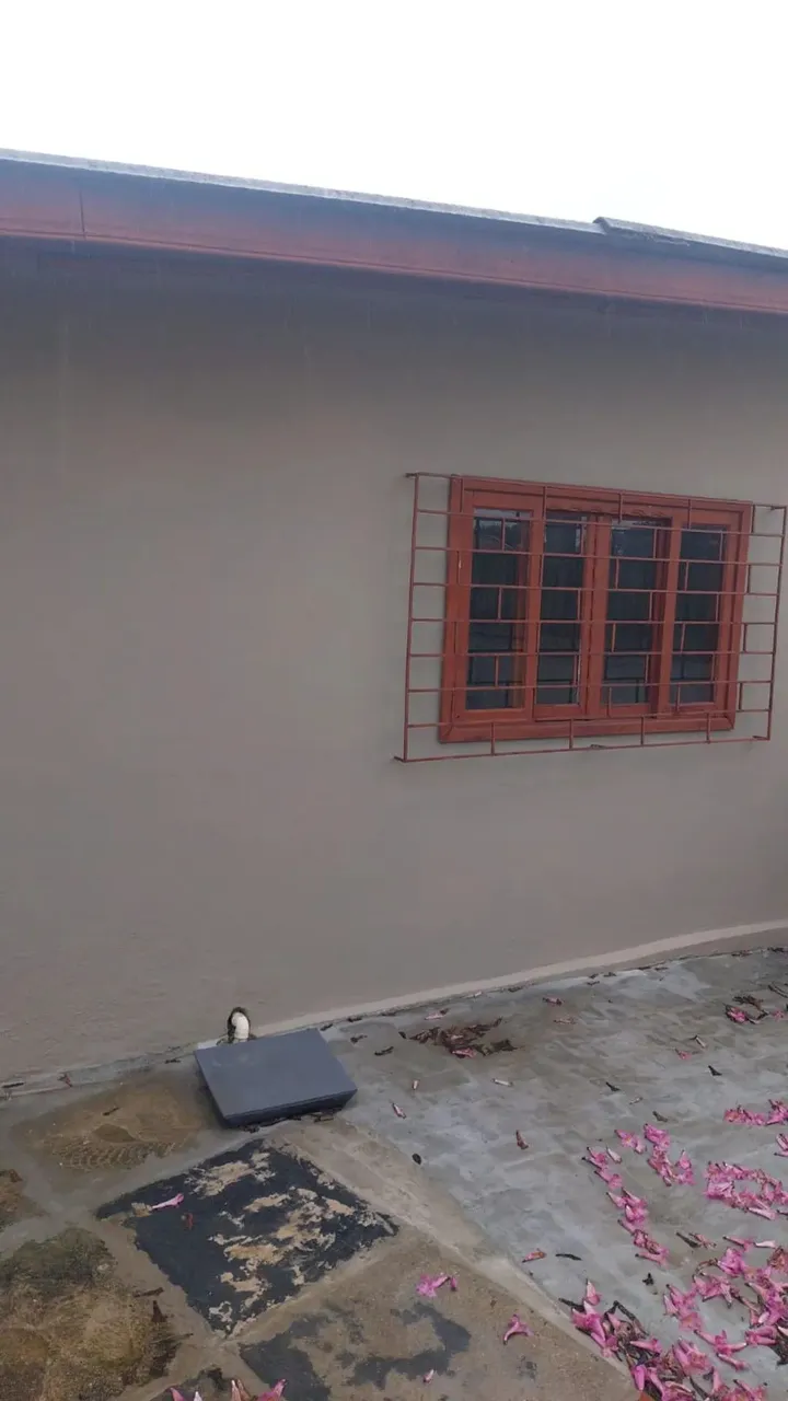 Imóvel para aluguel possui 35 metros quadrados com 2 quartos em Portão - Curitiba - PR