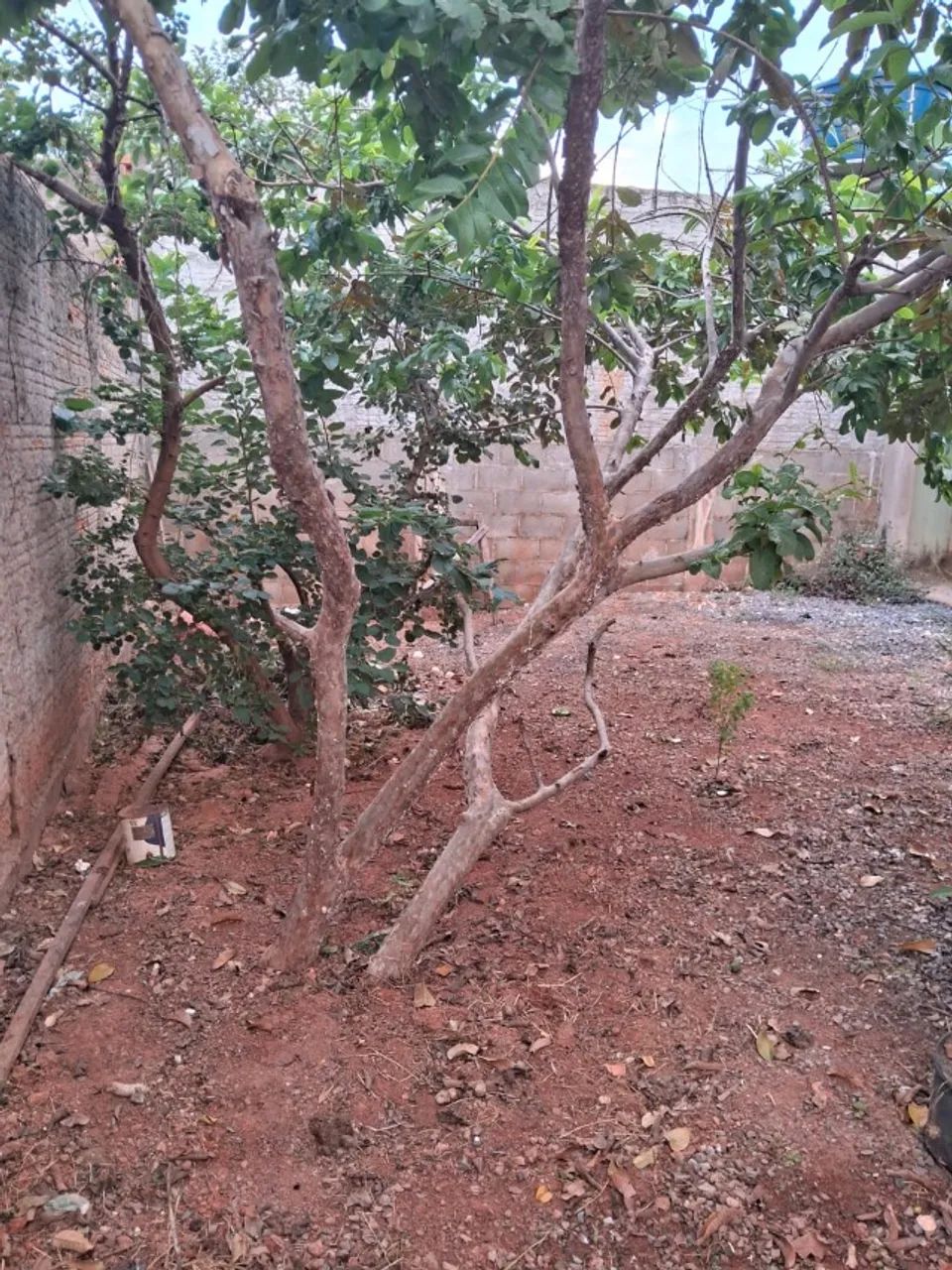 VENDO OU TROCO casa por Chácara ou Sítio - Foto 3
