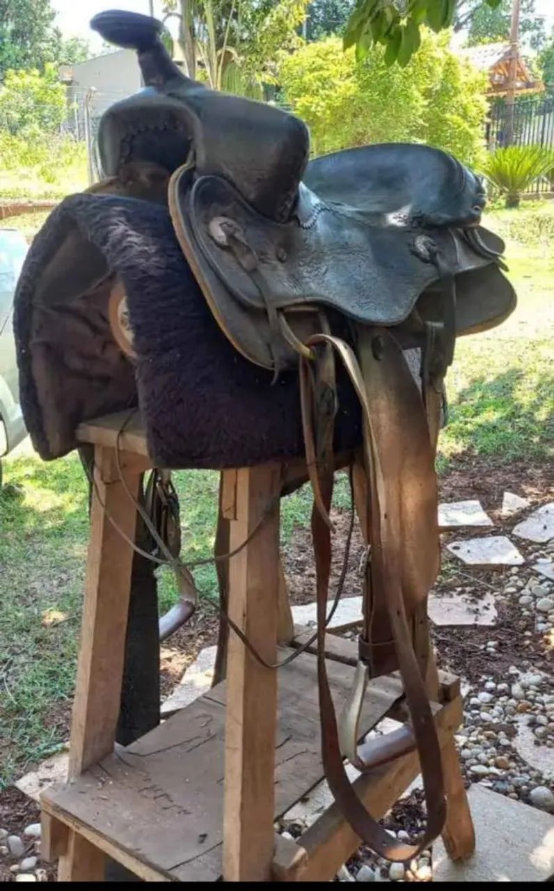 Vendo cela montaria  - Foto 2