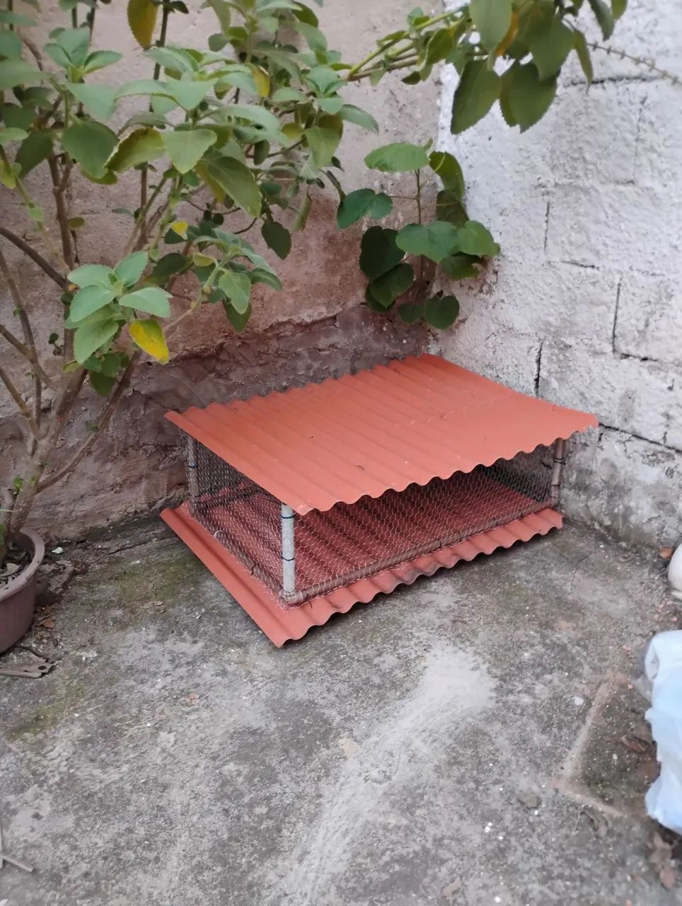 Viveiro para pintinhos e animais  - Foto 3