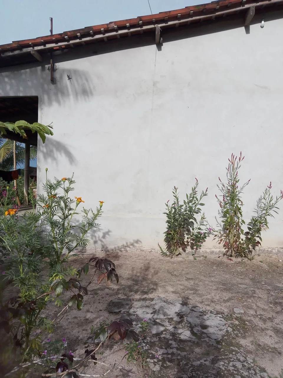 eu quero vende a minha casa