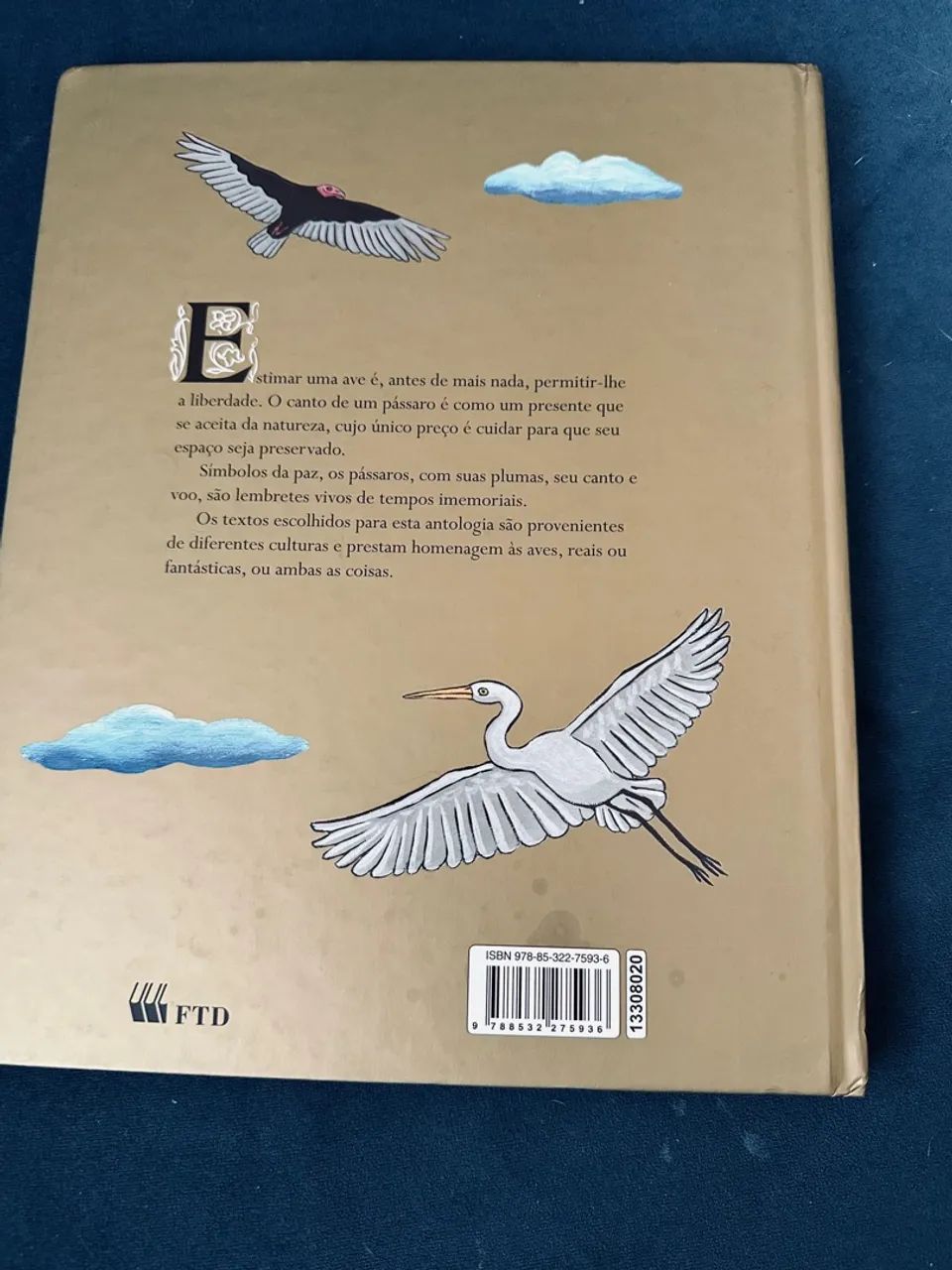 Livro dos pássaros mágicos  - Foto 2