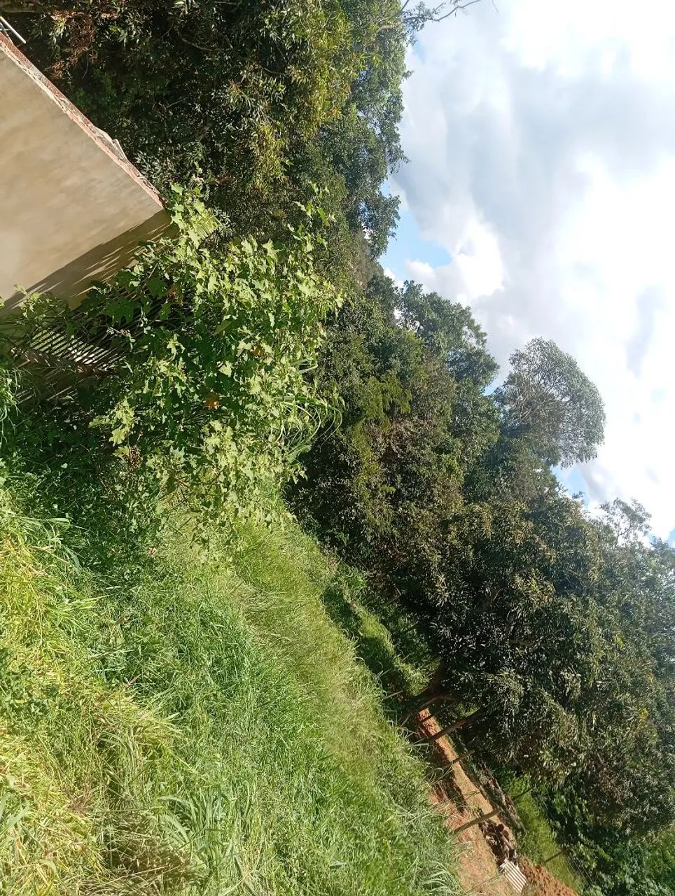 Foto - Brasília - Paranoá