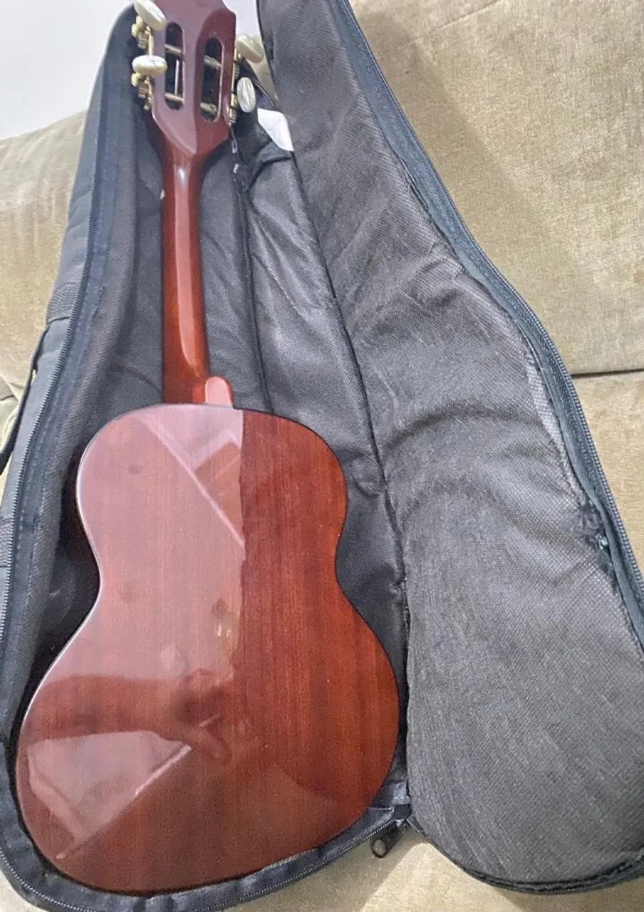 Cavaquinho Terra Brasil TGC-01 - Instrumentos musicais - Vila