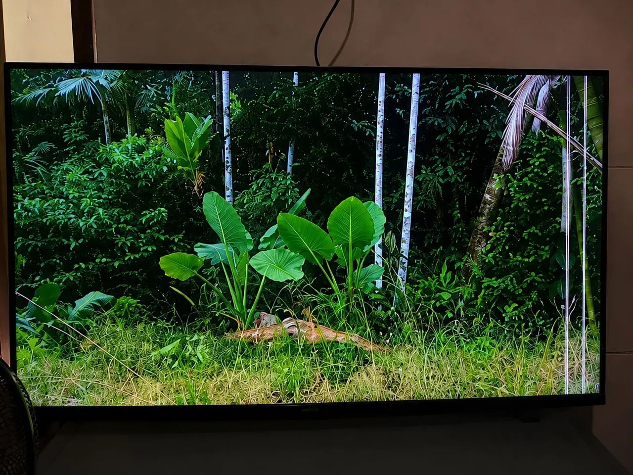 Televisão Philco Smart 55 plg. 4K 