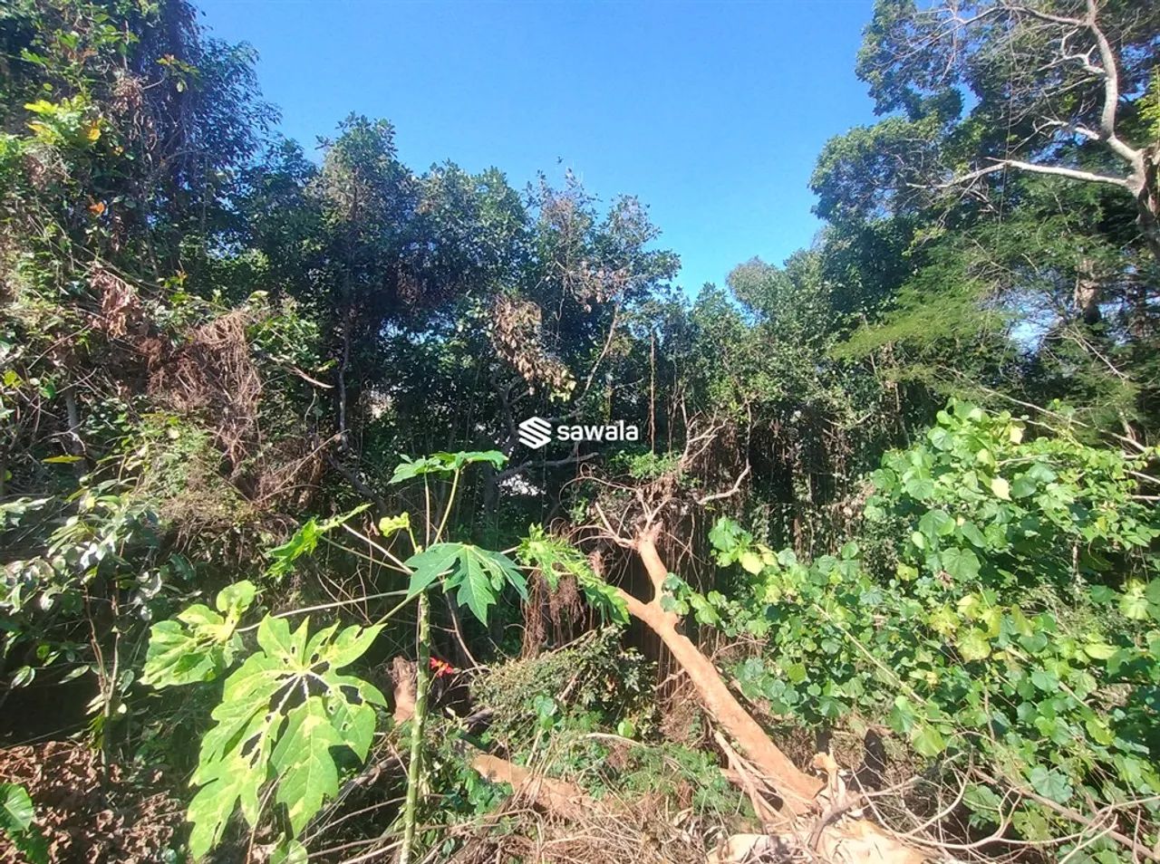 0 - Terreno - VILA VALQUEIRE - Foto 3