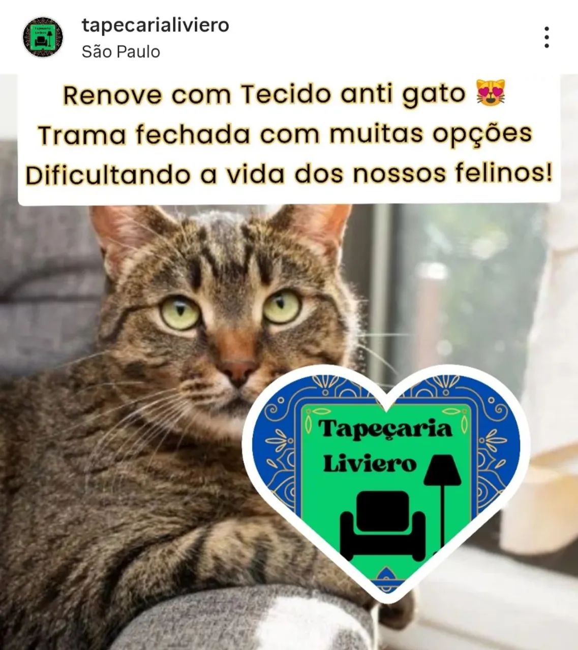 Renove a tapeçaria com Tecido Antigatos
