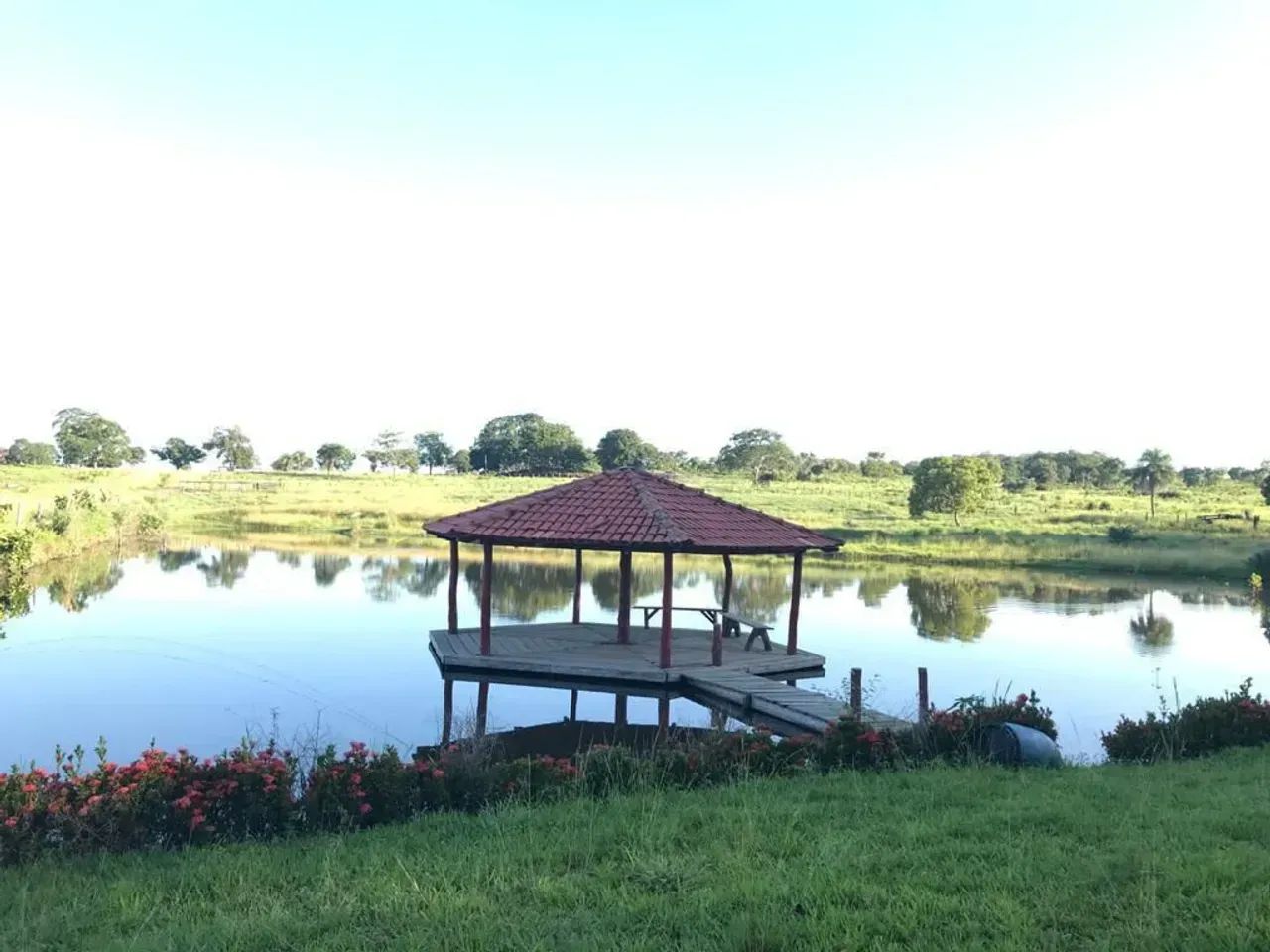 FAZENDA EM NOVA CRIXÁS GO - 55 ALQUEIRES