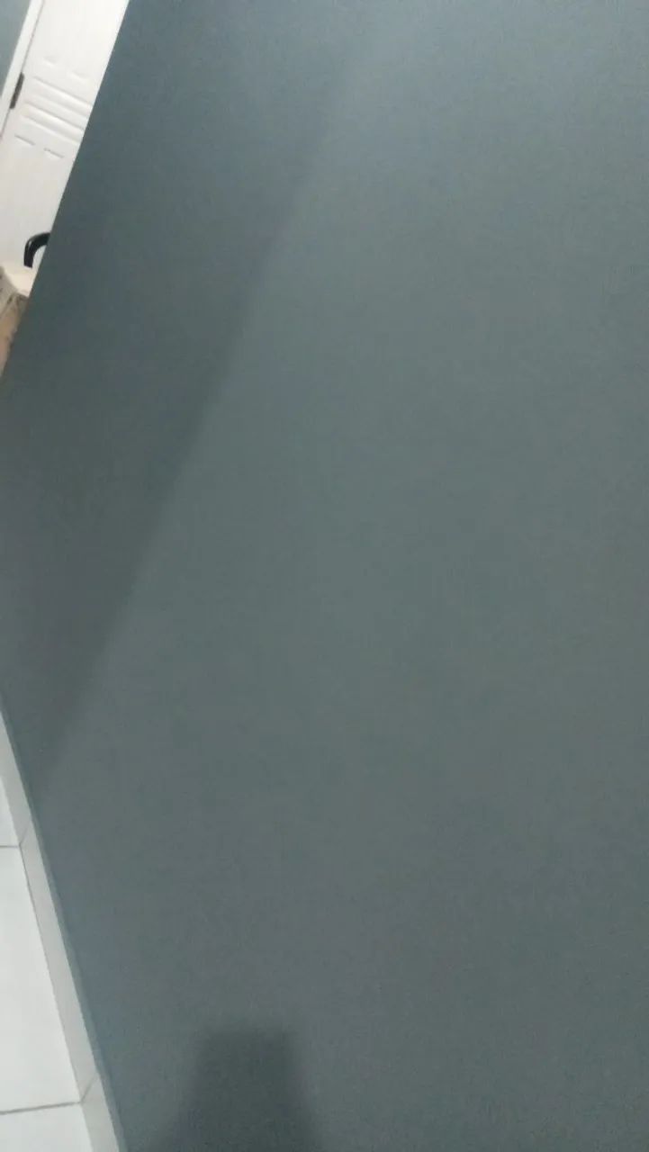 Sou pintor profissional 