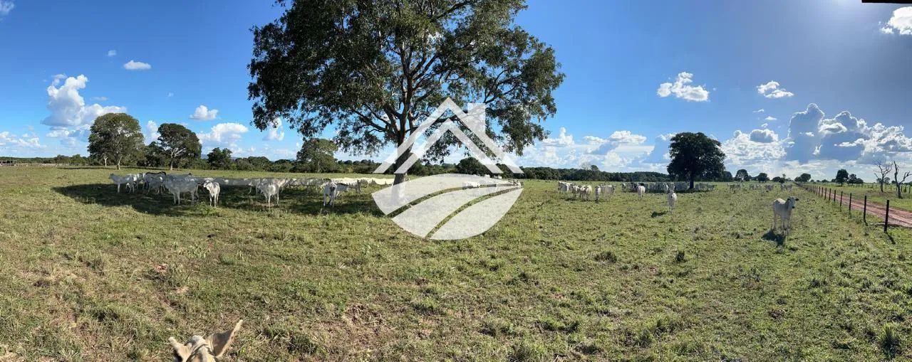 Fazenda para Venda em Araguaçu - Foto 5