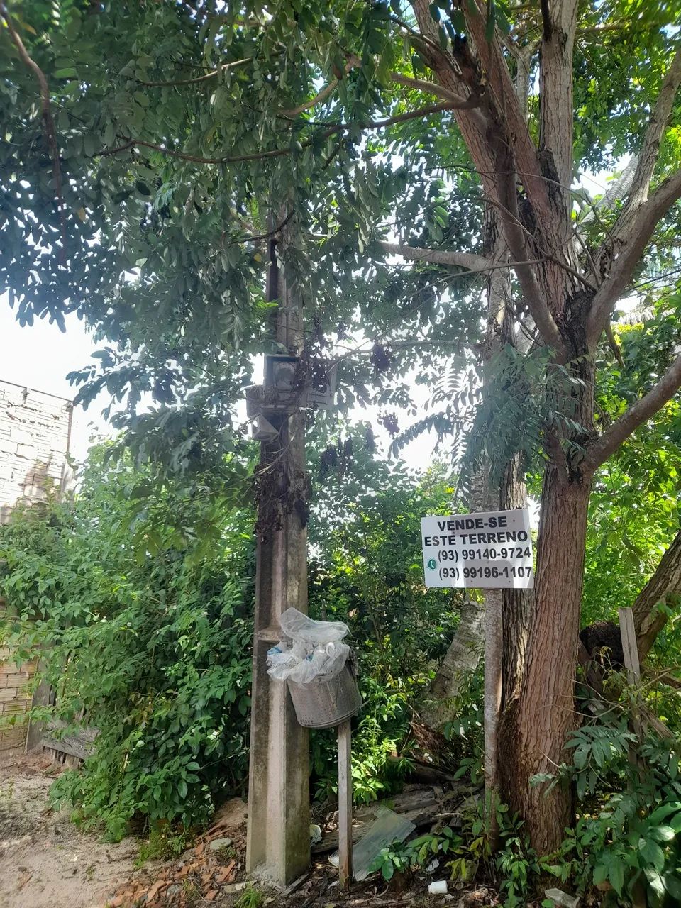 Terreno no bairro Área verde. - Foto 4