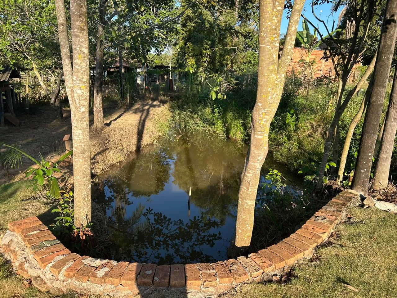 Vende chácara perto Guapó  - Foto 5