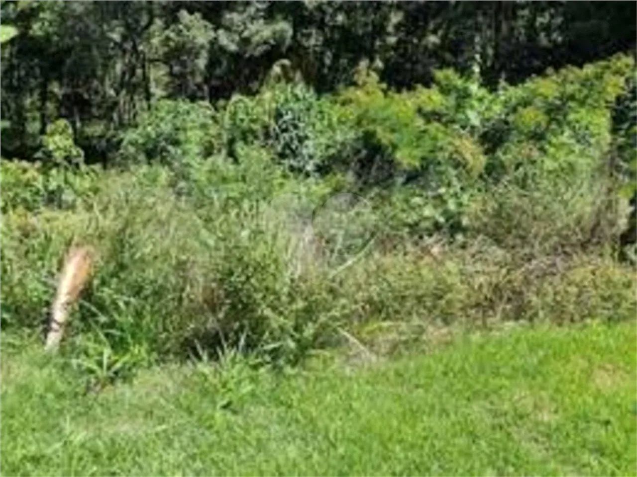 Terreno à venda em Barreiro - SP - Foto 5