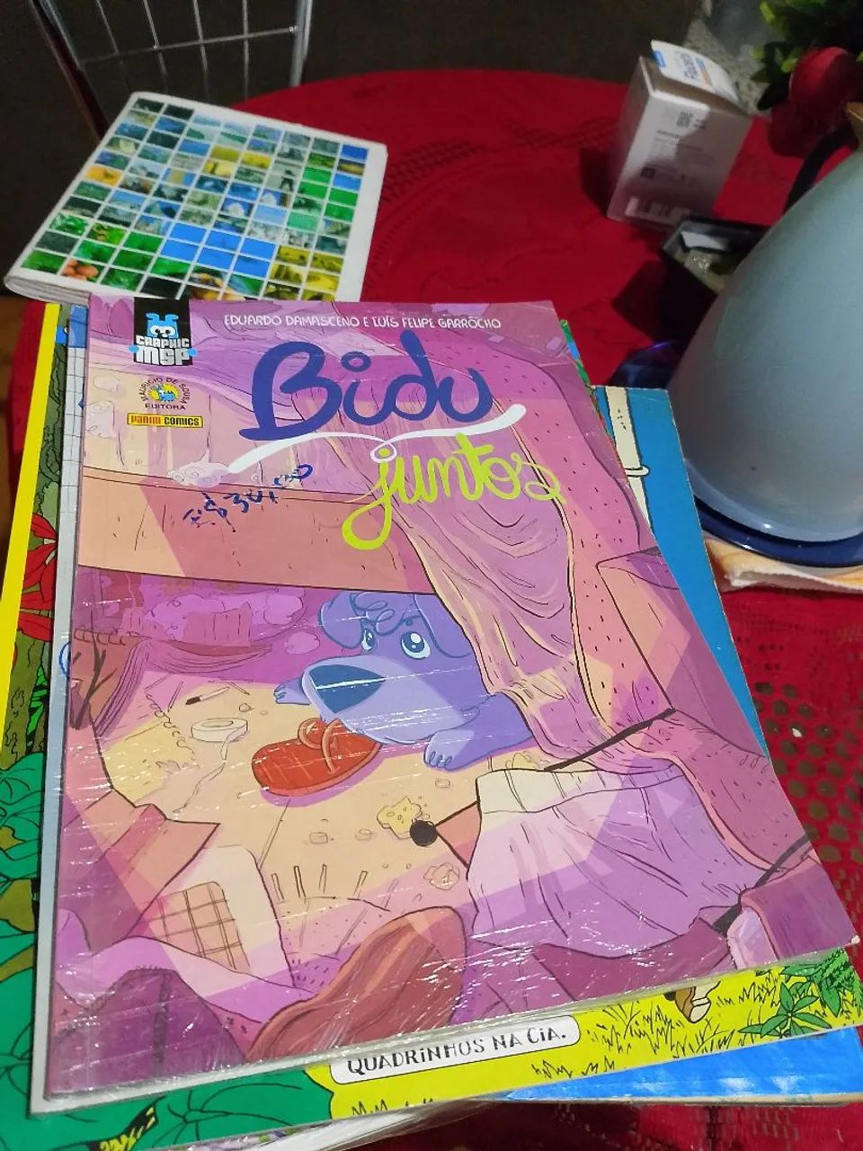 MÔNICA - BIDU: JUNTOS MSP PANINI 