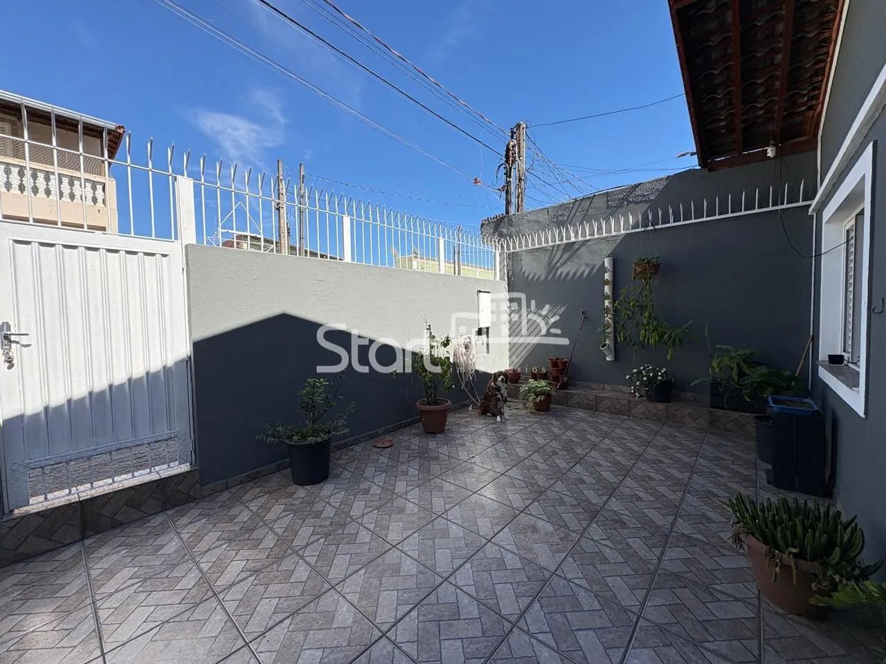 casa - Vila Castelo Branco - Campinas - Foto 3