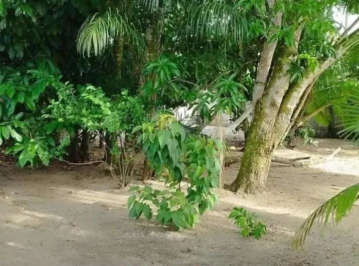 TERRENOS QUITADO E DOCUMENTADO - Foto 2
