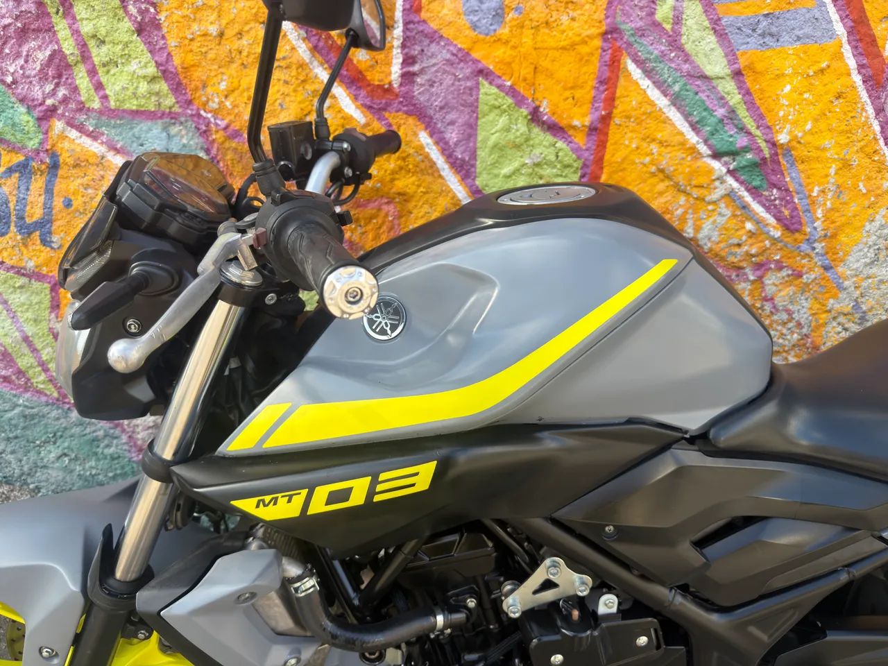 Mt 03 2019  - Foto 3