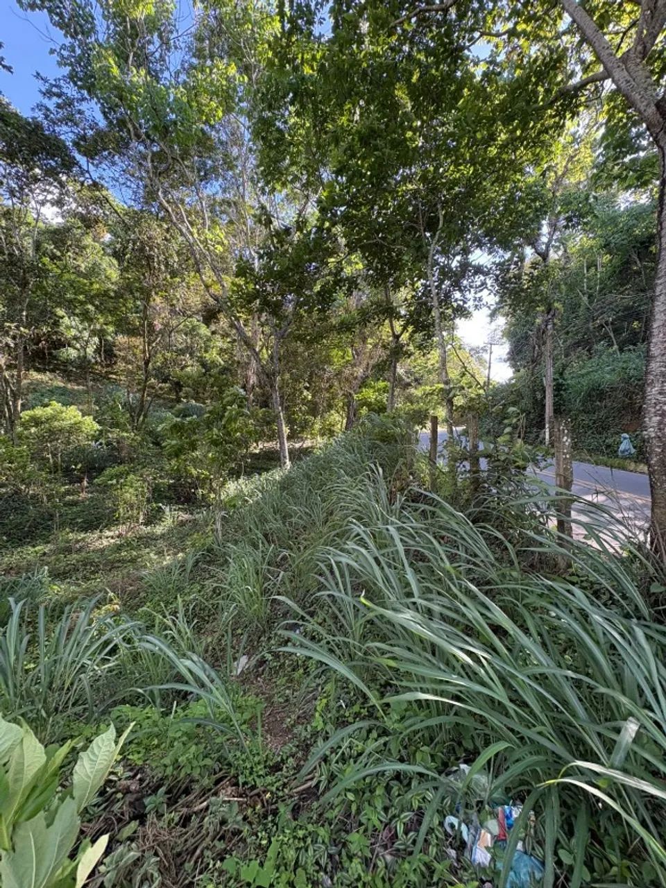 OPORTUNIDADE! VENDE-SE GLEBAS PARCELADO EM GUARARAMIRANGA - Foto 5