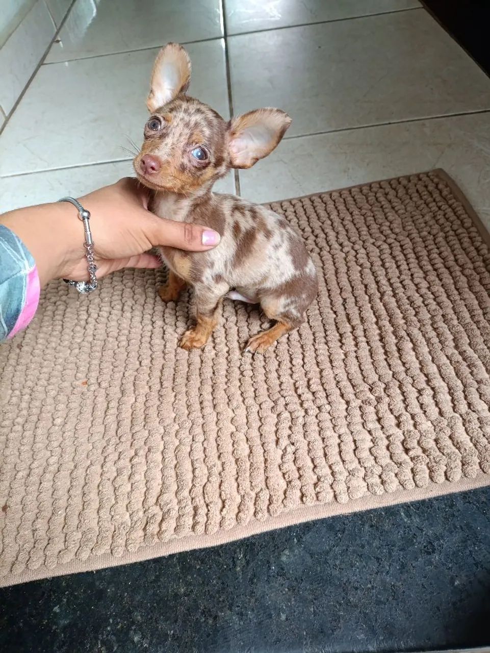 Machinho Zero exótico  - Foto 4