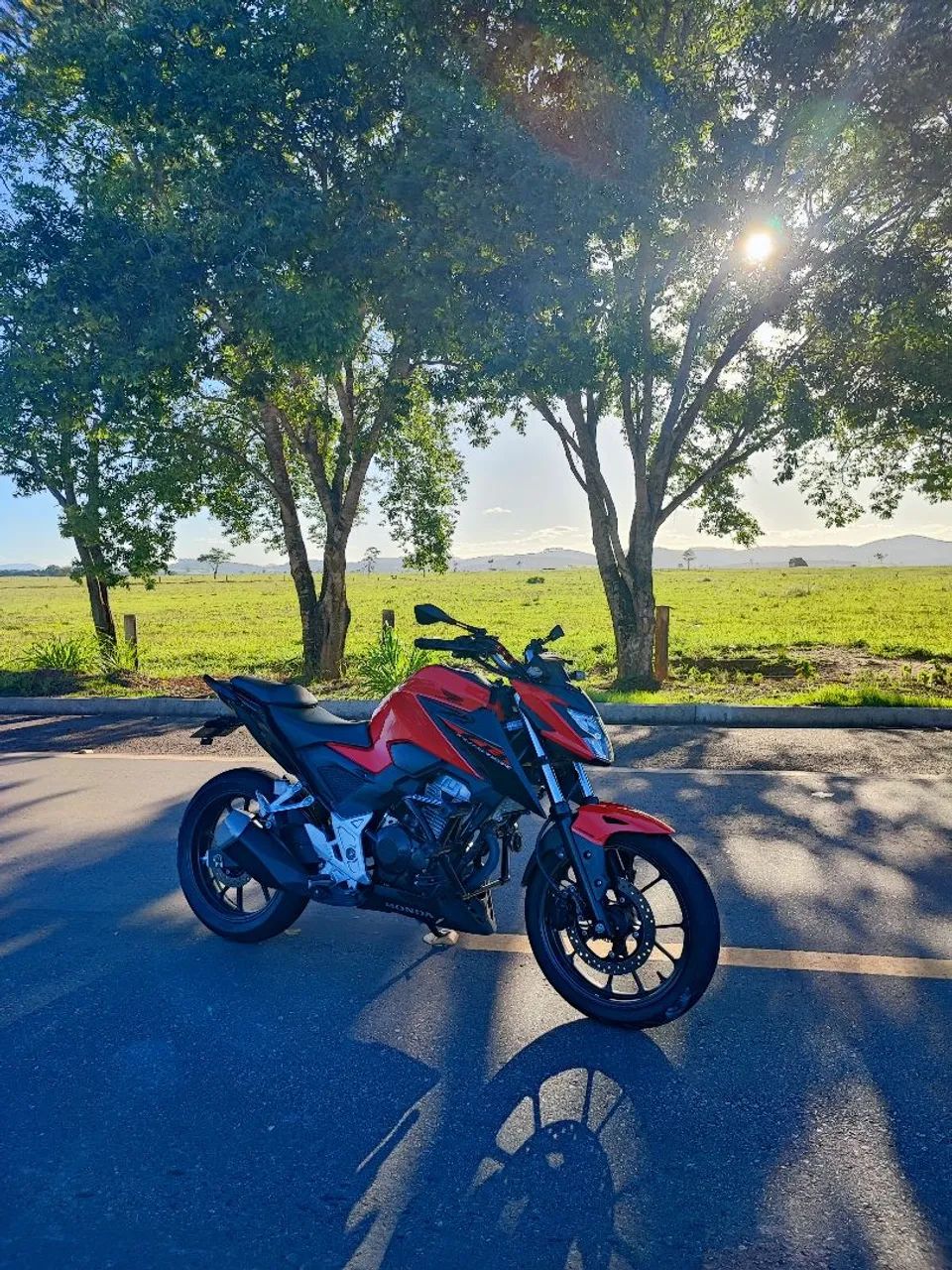 Twister 300f ABS 2023