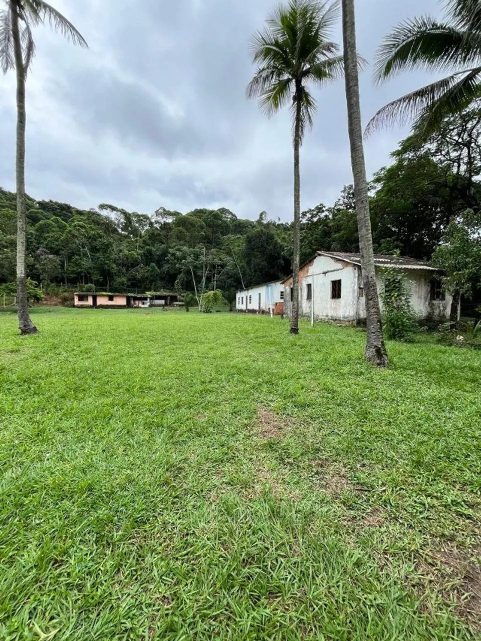 Sítio em Barão de Guandu - Foto 10