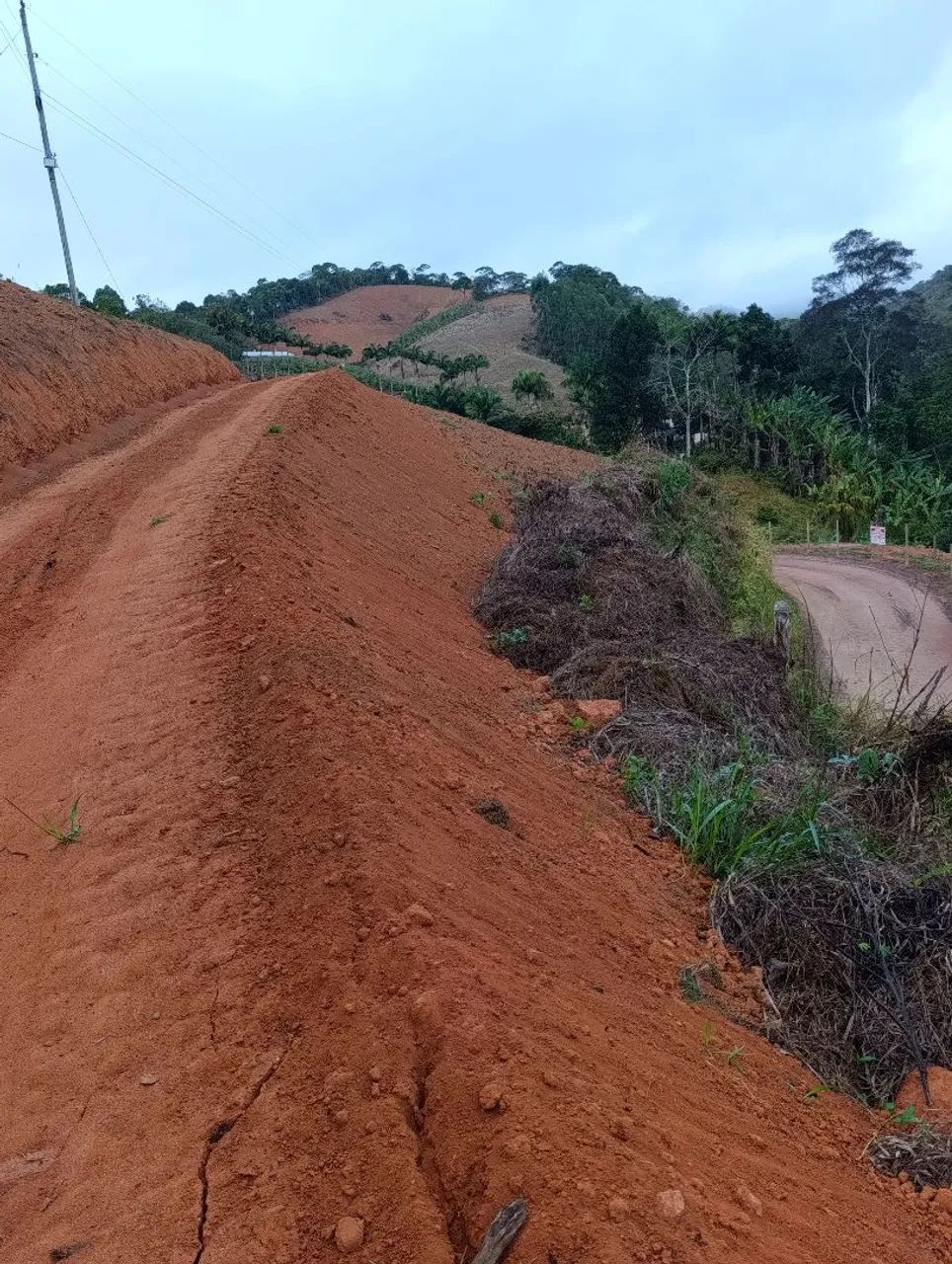  terreno 5.000m²em holandinha - Foto 2