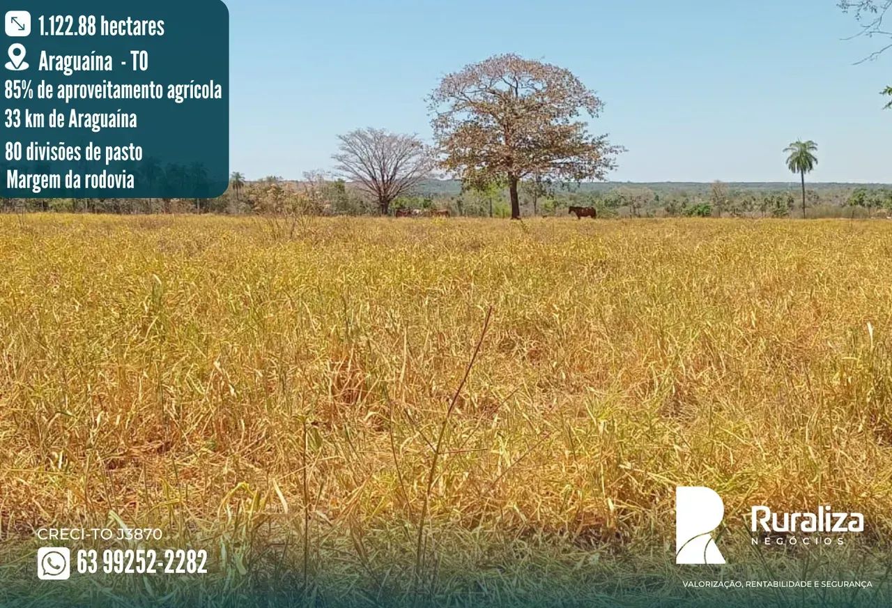 232 ALQUEIRES | 968 HA EM PASTAGENS | 80 DIVISÕES DE PASTO