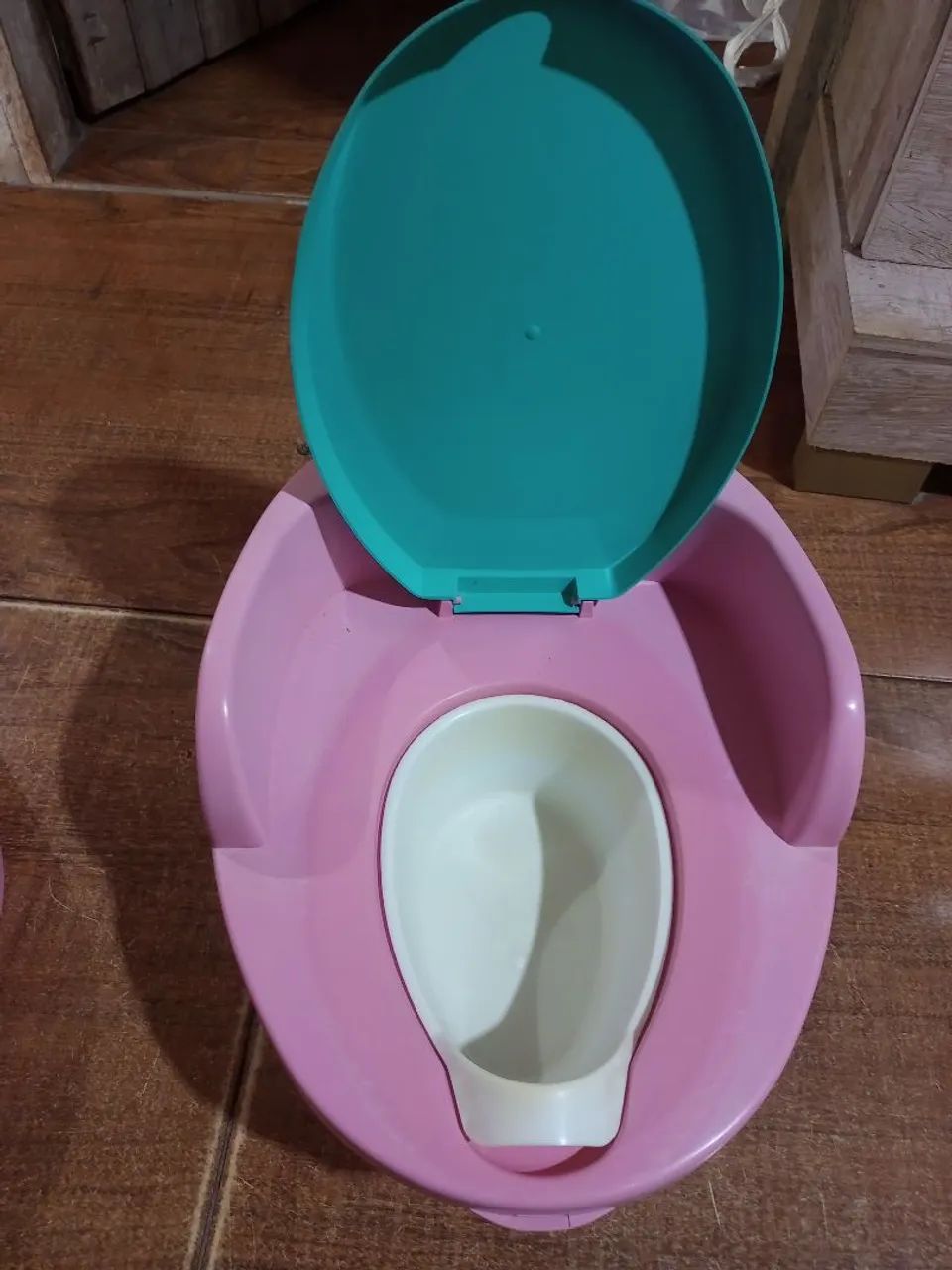 Andaja e Piniquio 