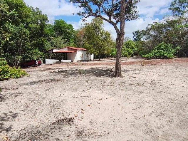 Chácara 10000 m2 - Foto 4