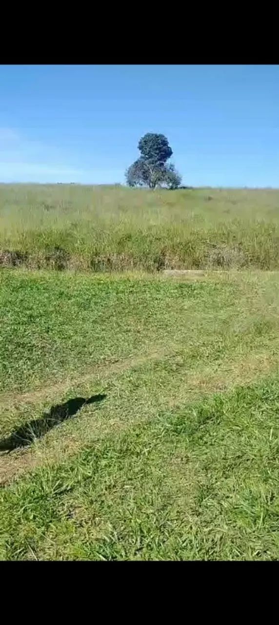Vende- se este sítio  - Foto 2